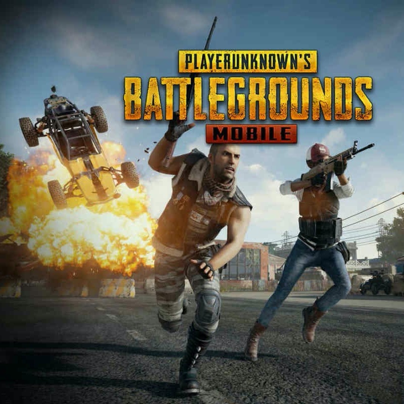 MK14 and M416 Produce Deadly Combinations on PUBG Mobile!